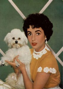 Elizabeth Taylor: Fun Facts About Poodles