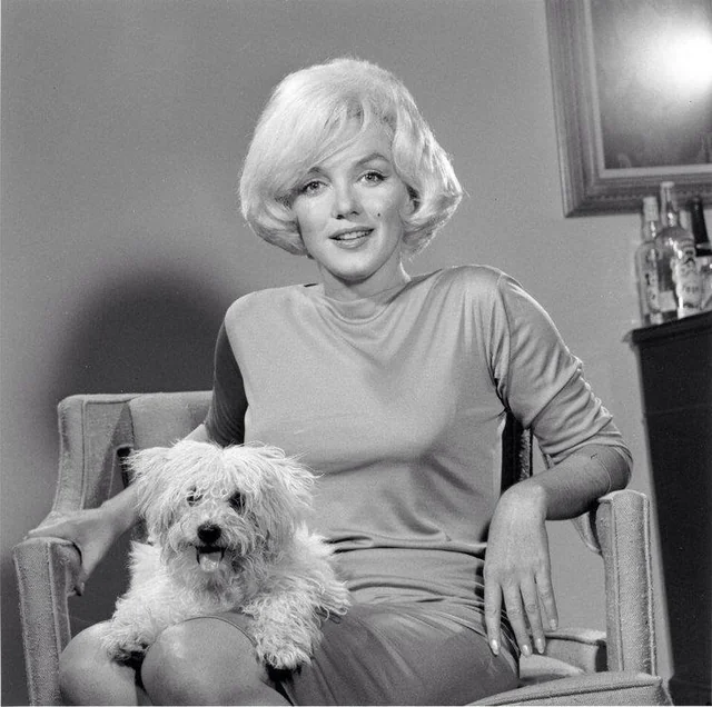 Marilyn Monroe: Fun Facts About Poodles