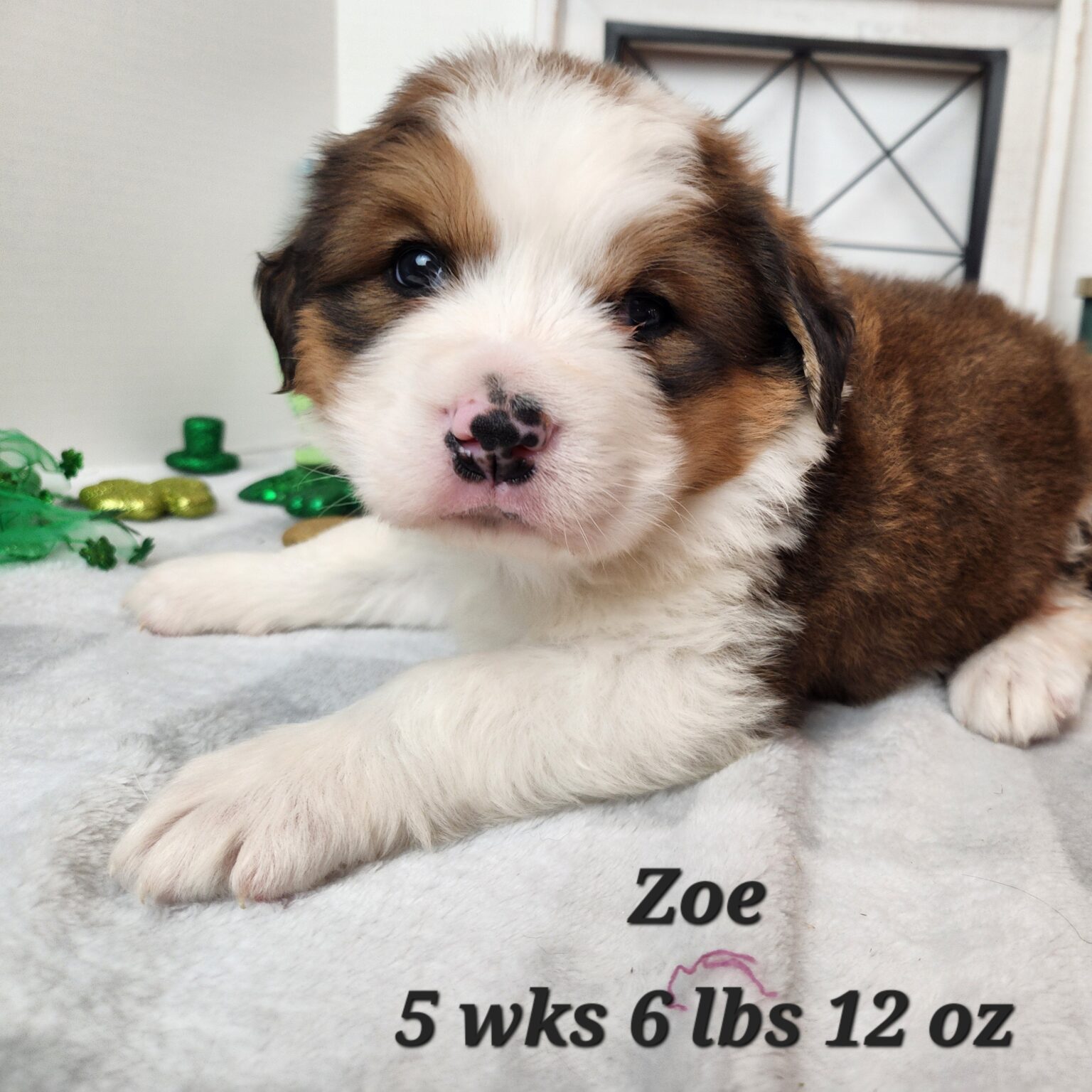 Zoe