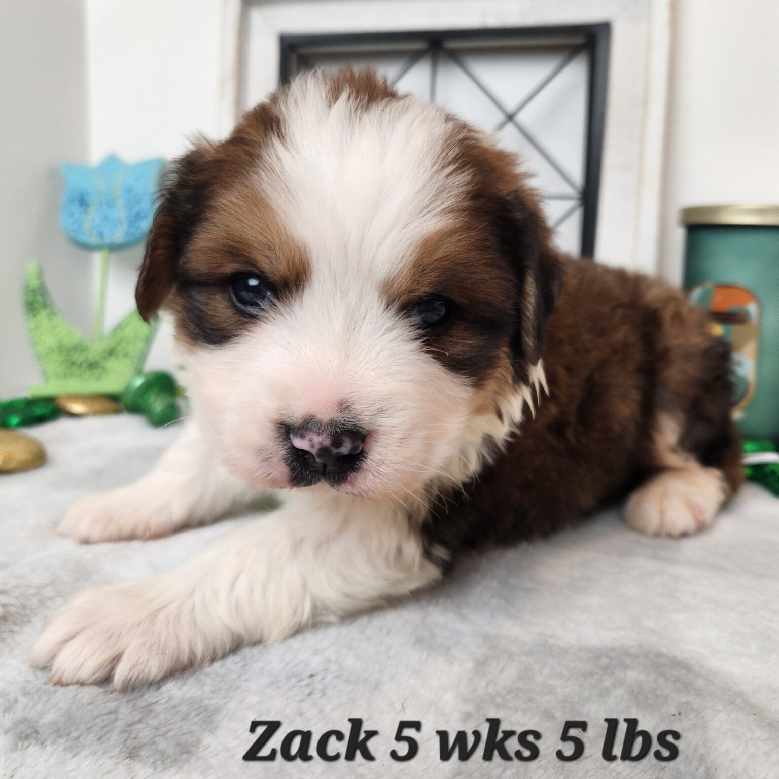 Zack
