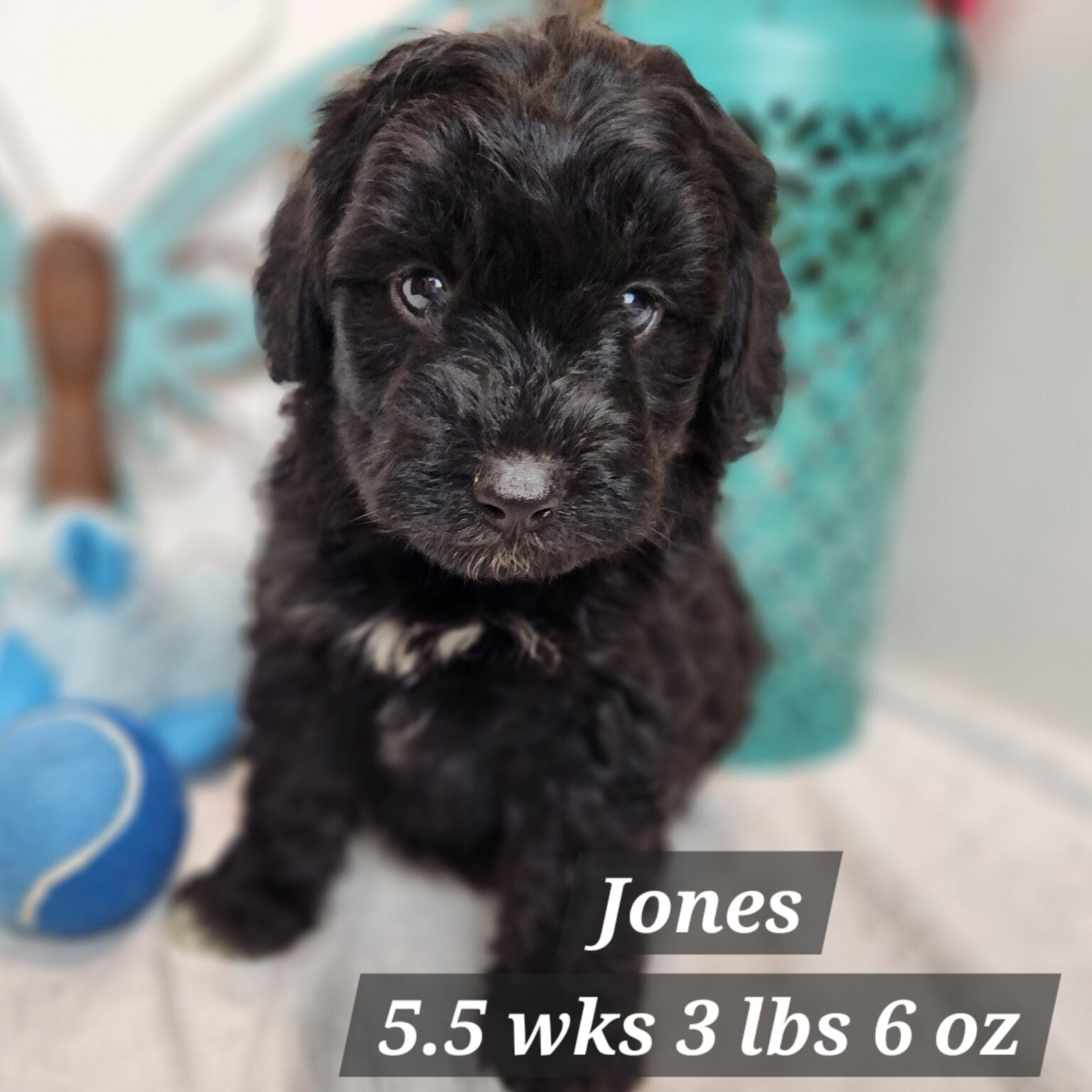 Jones
