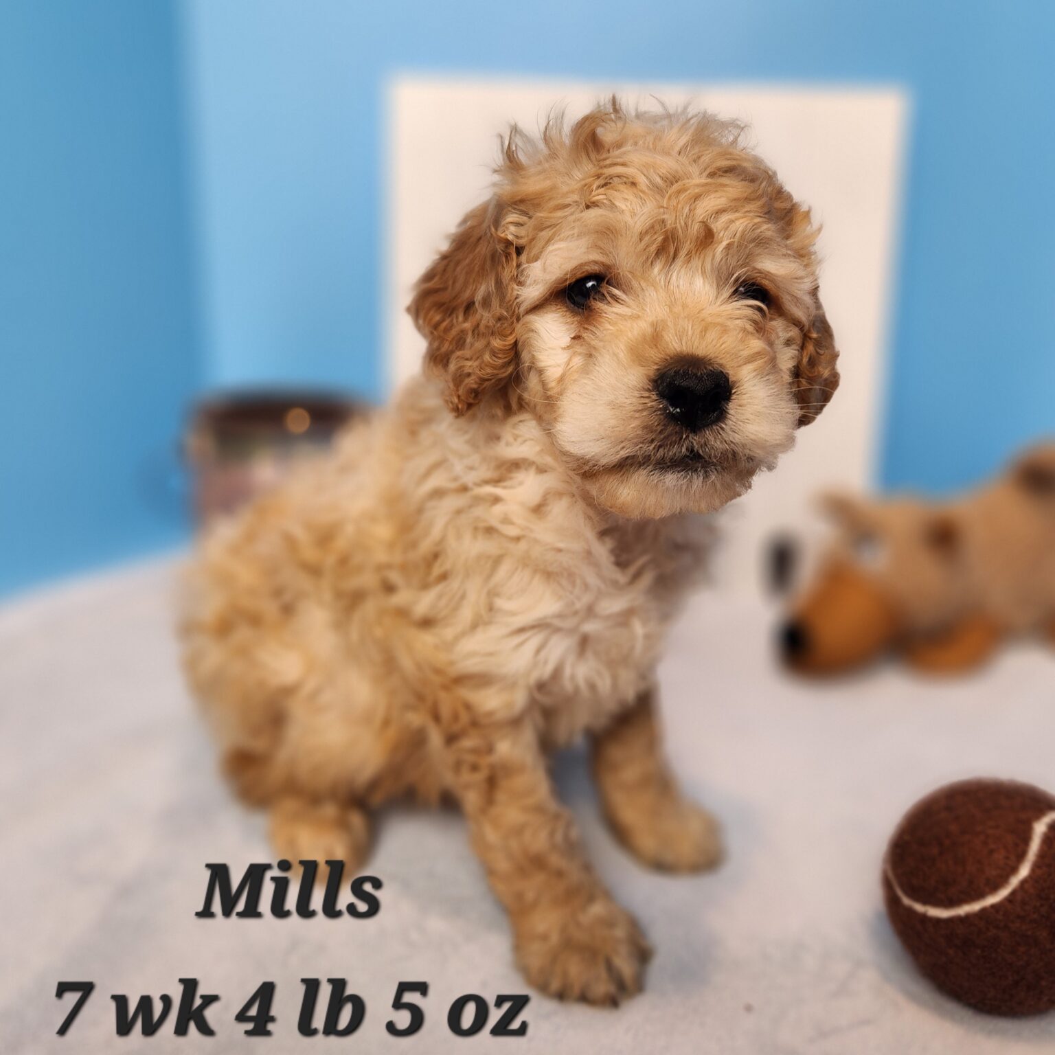 Mills