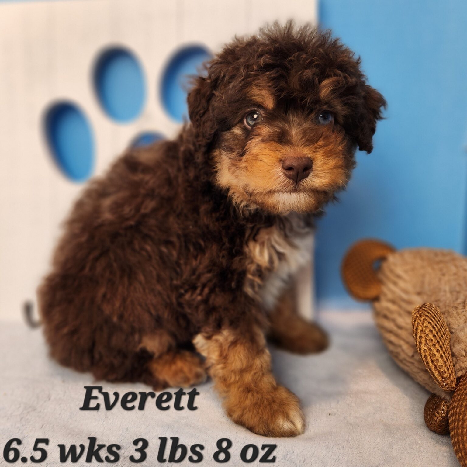 Everett