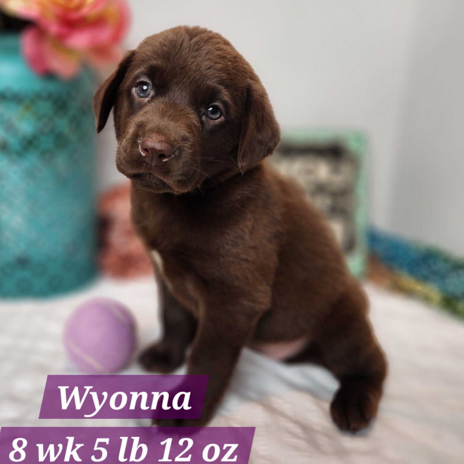 Wyonna